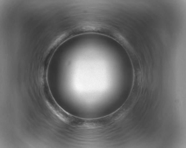 X0000083000490200702011458