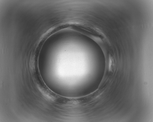 X0000083000492200702011458