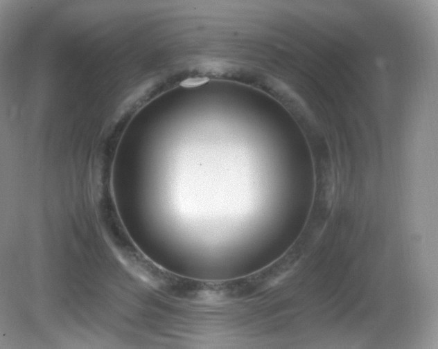 X0000083000496200702011458