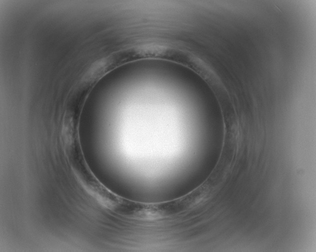 X0000083000498200702011458