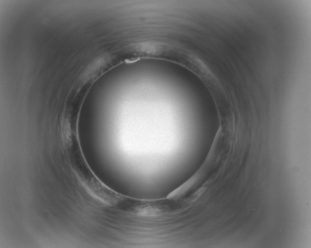 X0000083000500200702011458