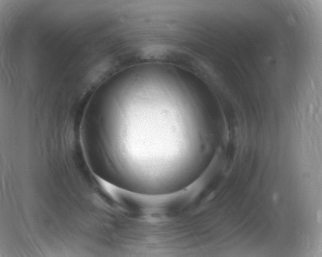 X0000083000508200702011458