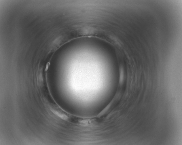 X0000083000516200702011458