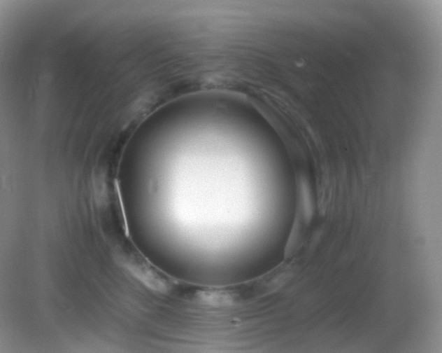 X0000083000520200702011458
