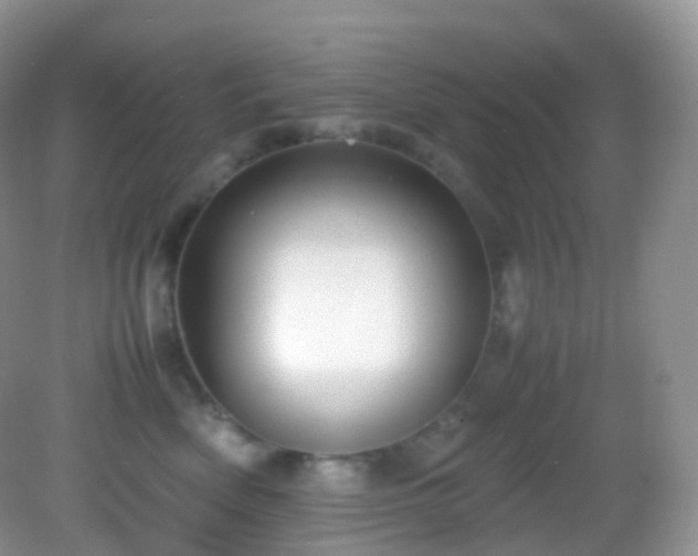 X0000083000522200702011458