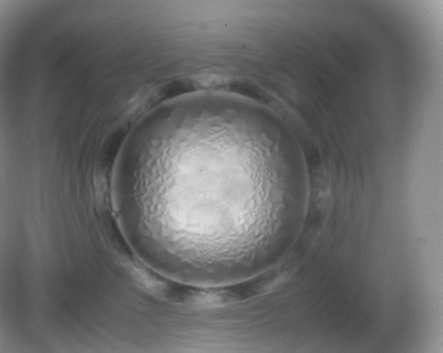 X0000083000523200702011458