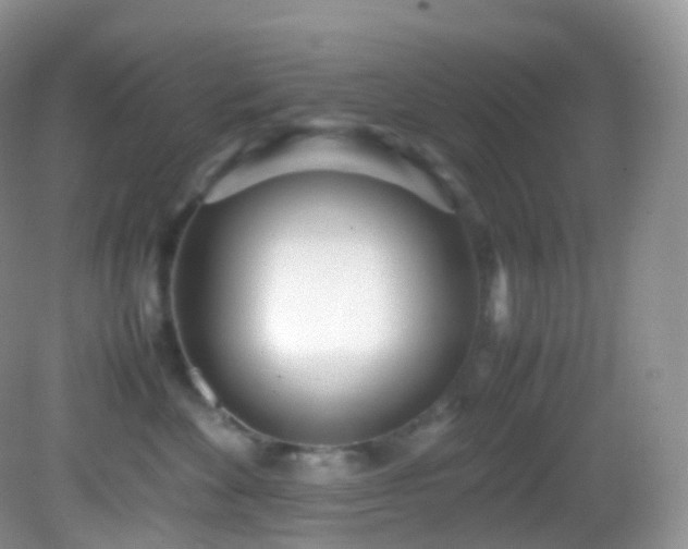 X0000083000524200702011458
