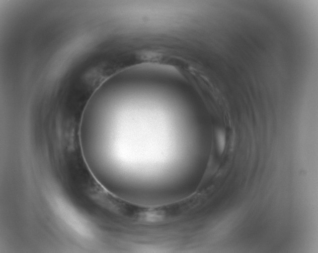 X0000083000525200702011458