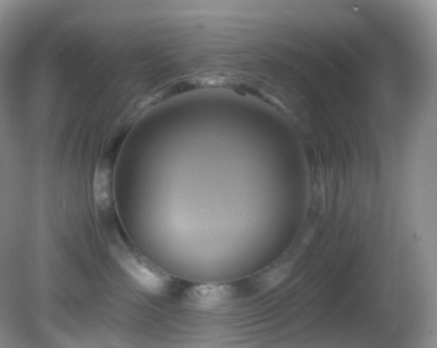 X0000083000526200702011458