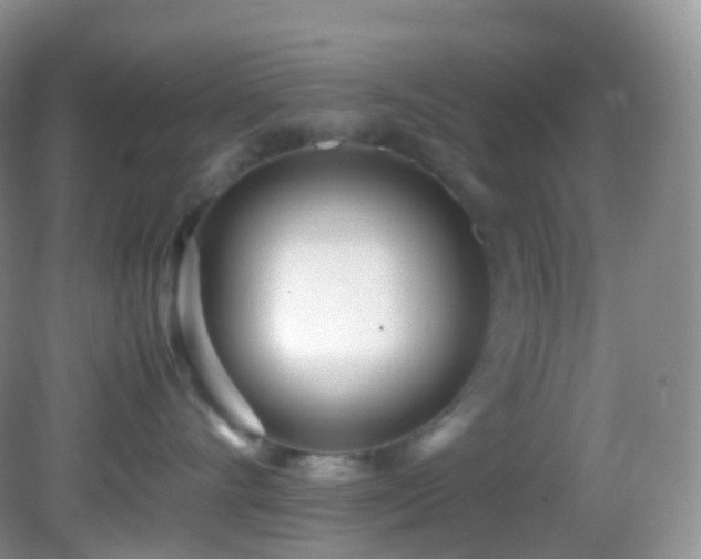 X0000083000528200702011458
