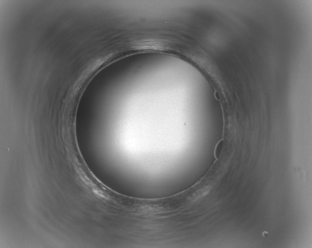 X0000083000529200702011457