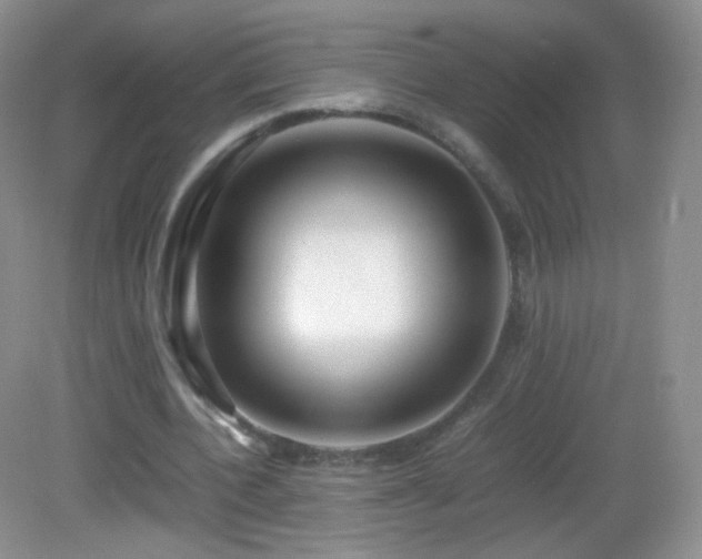 X0000083000532200702011457
