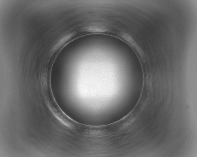 X0000083000533200702011457