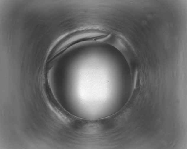X0000083000536200702011457