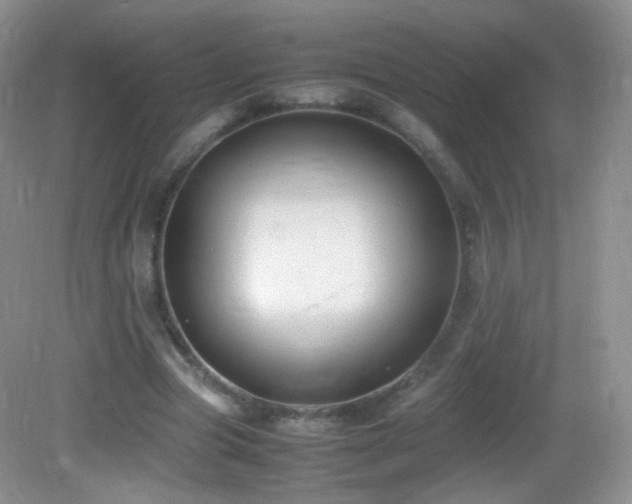 X0000083000537200702011457