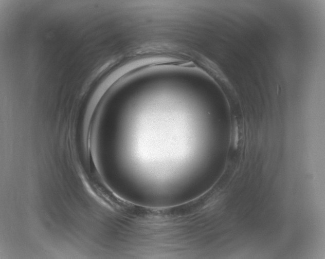 X0000083000538200702011457