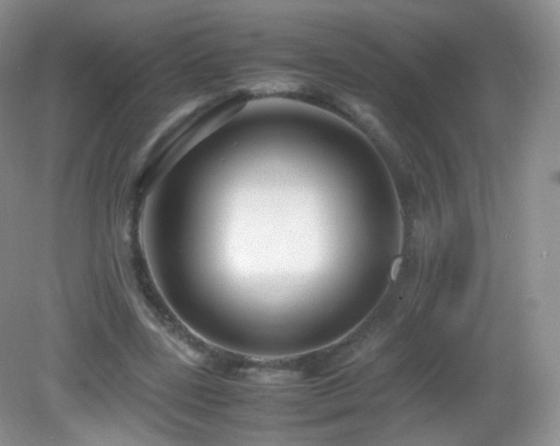 X0000083000539200702011457