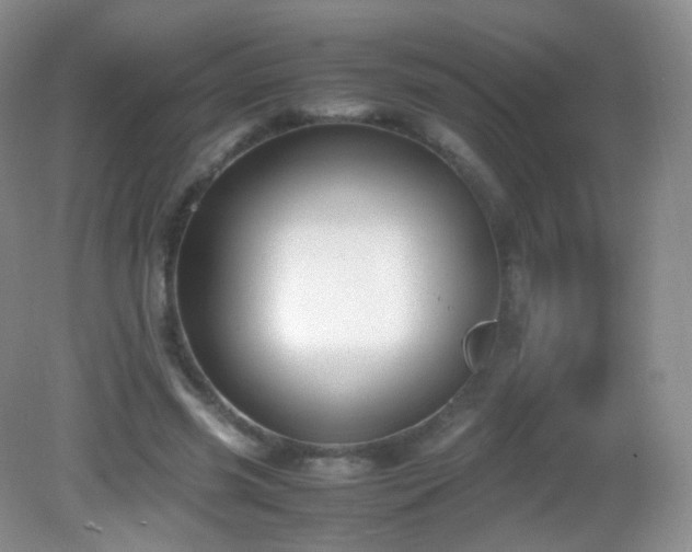 X0000083000541200702011457