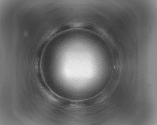X0000083000545200702011457