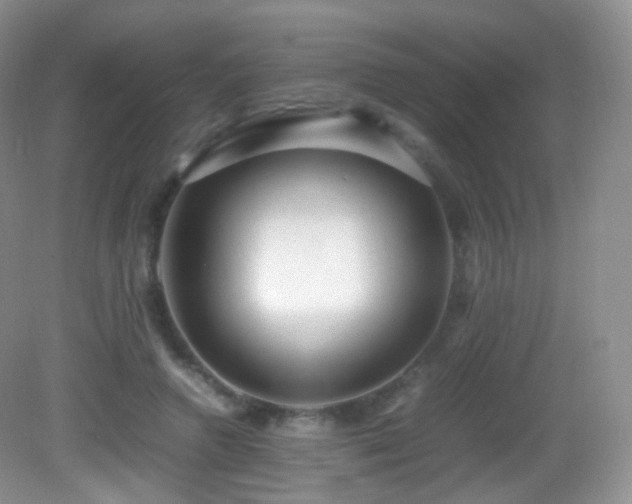 X0000083000546200702011457