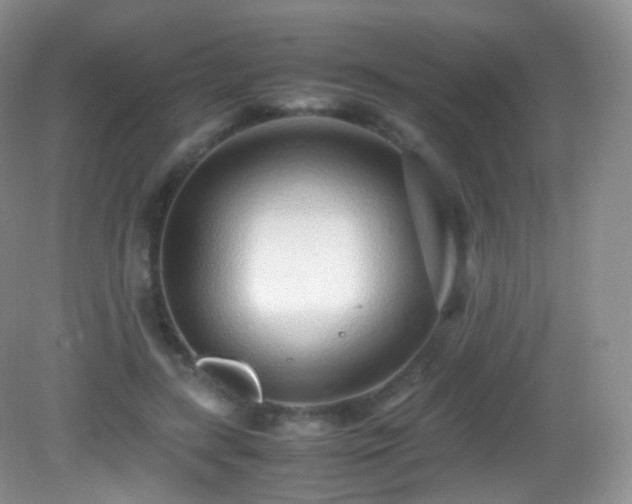 X0000083000547200702011457