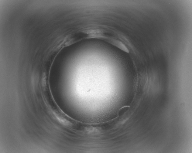 X0000083000549200702011457