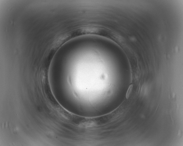 X0000083000551200702011457