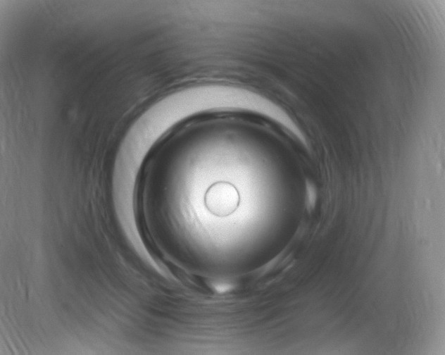 X0000083000556200702011457