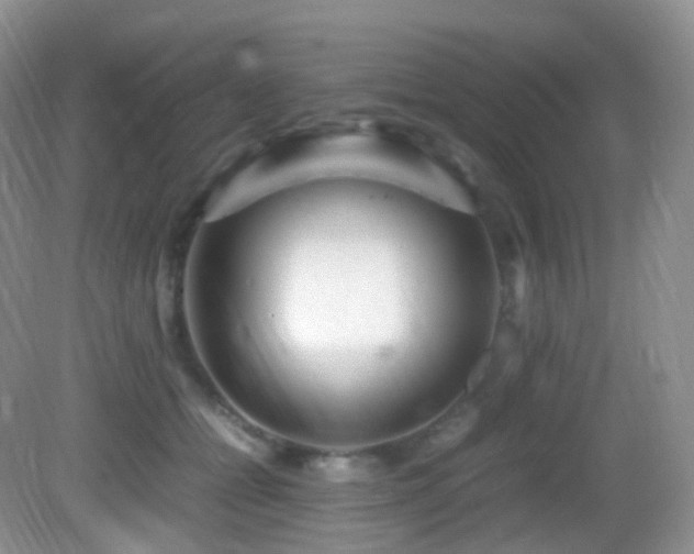 X0000083000558200702011457