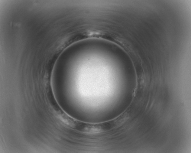 X0000083000559200702011457