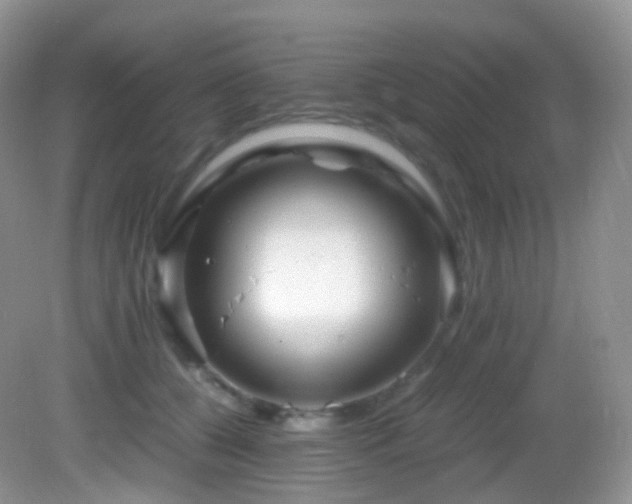 X0000083000560200702011457