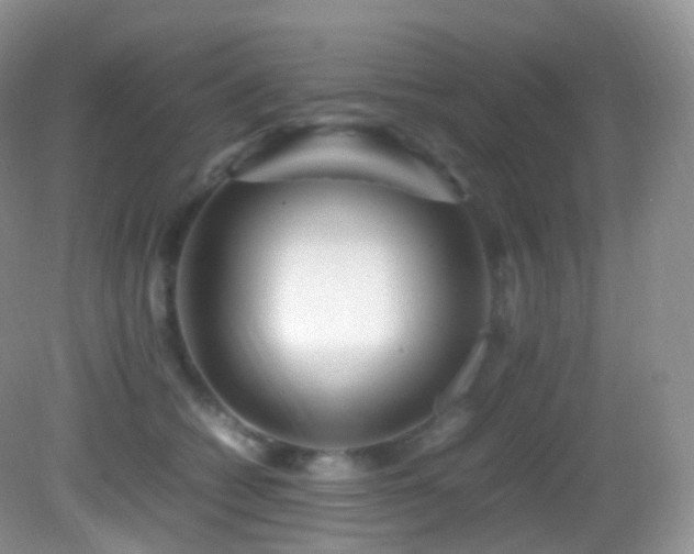 X0000083000562200702011458
