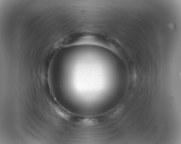 X0000083000566200702011458