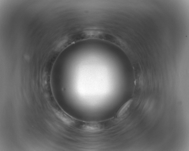 X0000083000567200702011458