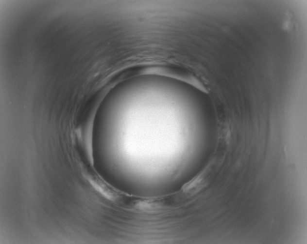 X0000083000568200702011458