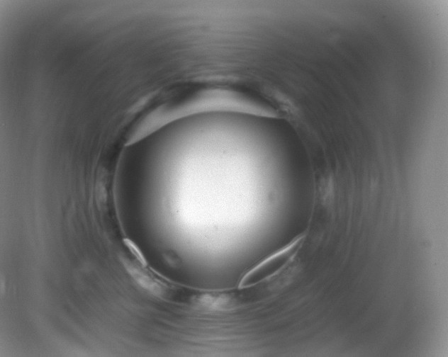 X0000083000570200702011458