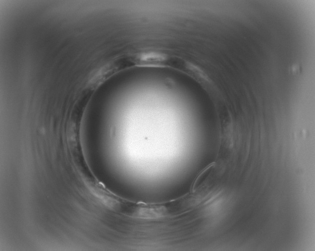 X0000083000571200702011458