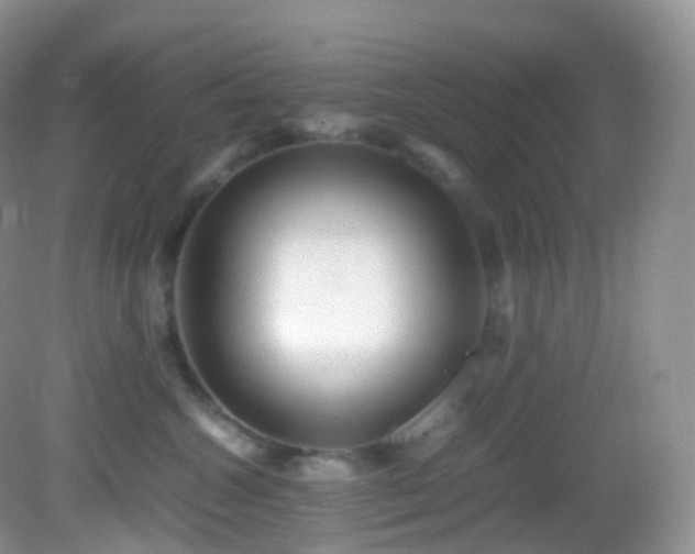 X0000083000572200702011458