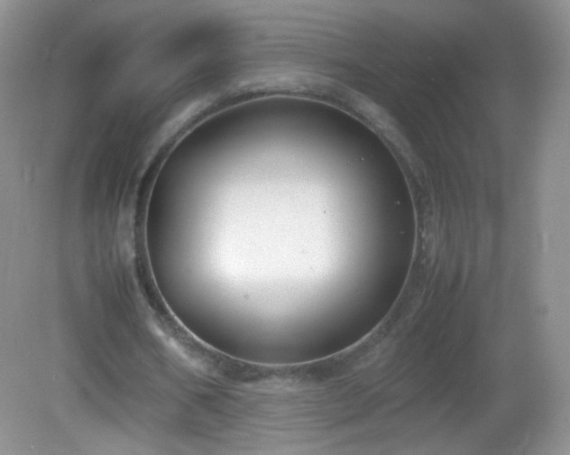 X0000083000578200702011457