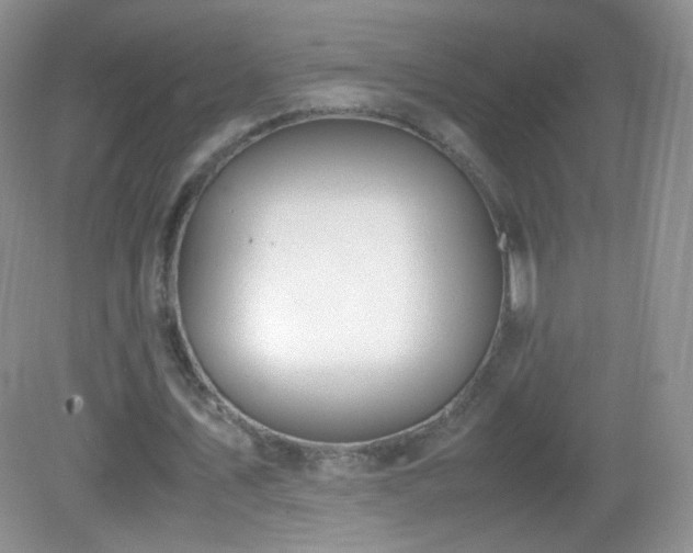 X0000083000579200702011457