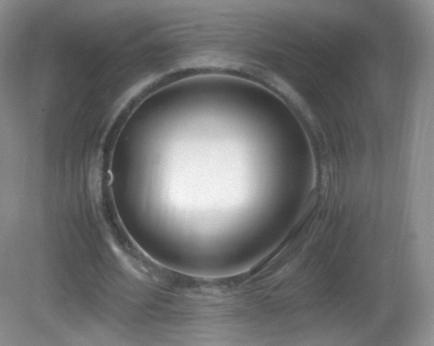 X0000083000580200702011457