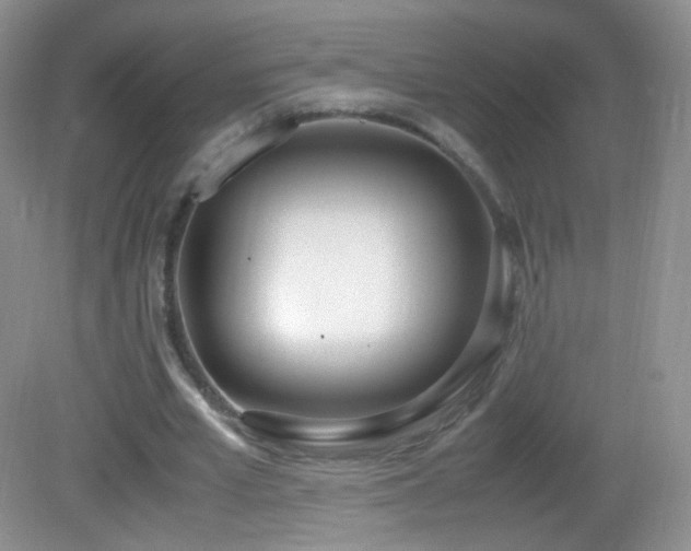 X0000083000581200702011457