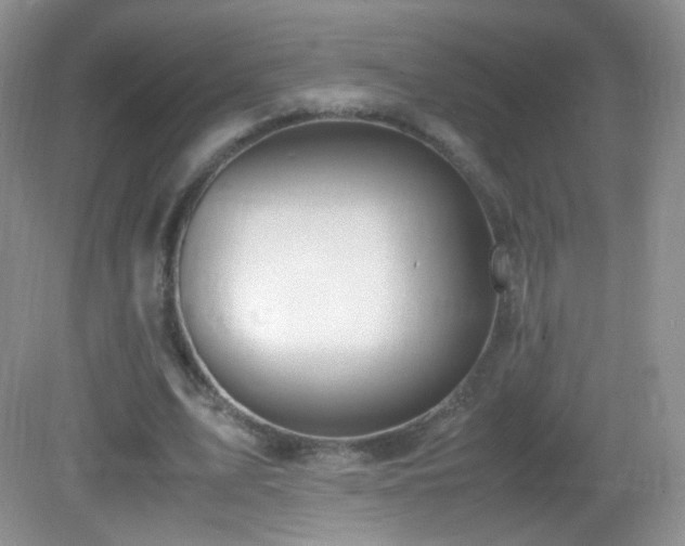 X0000083000583200702011457