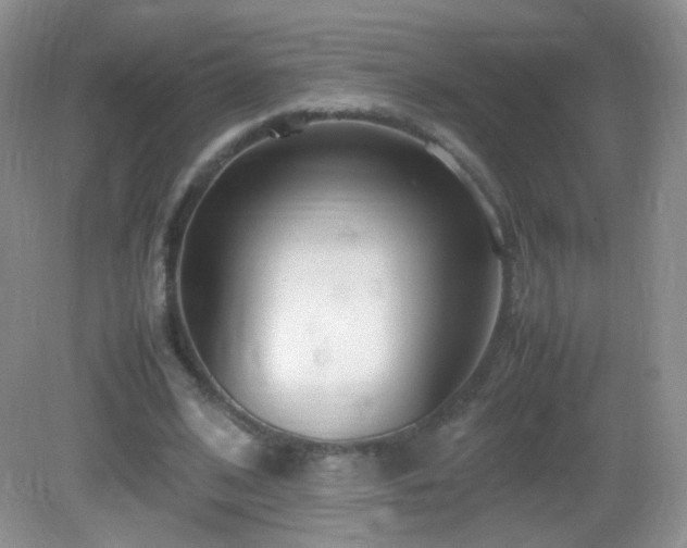 X0000083000584200702011457