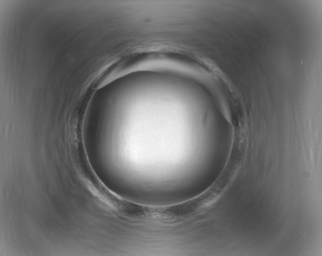 X0000083000585200702011457