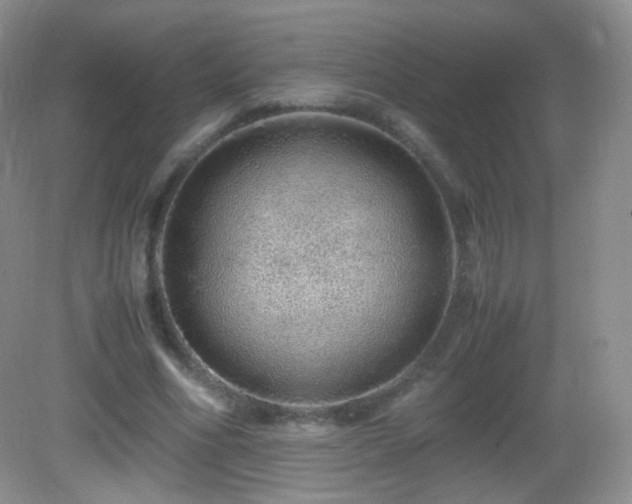 X0000083000586200702011457