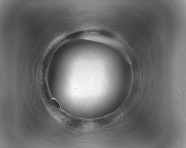 X0000083000587200702011457