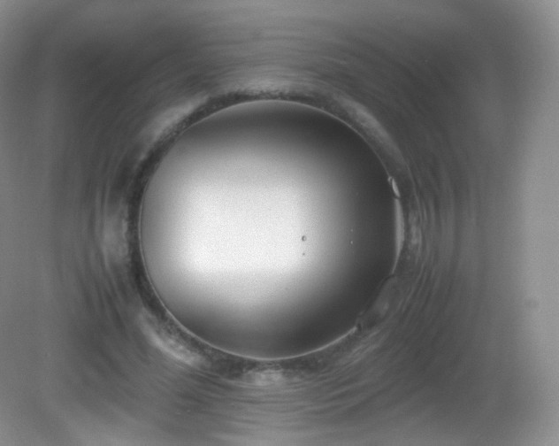 X0000083000588200702011457