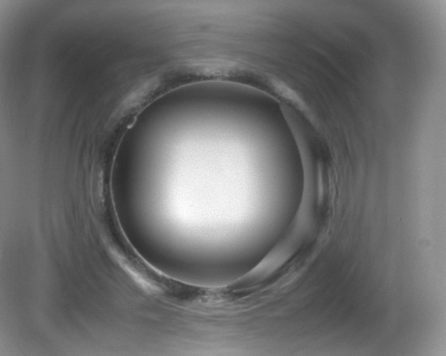 X0000083000589200702011457