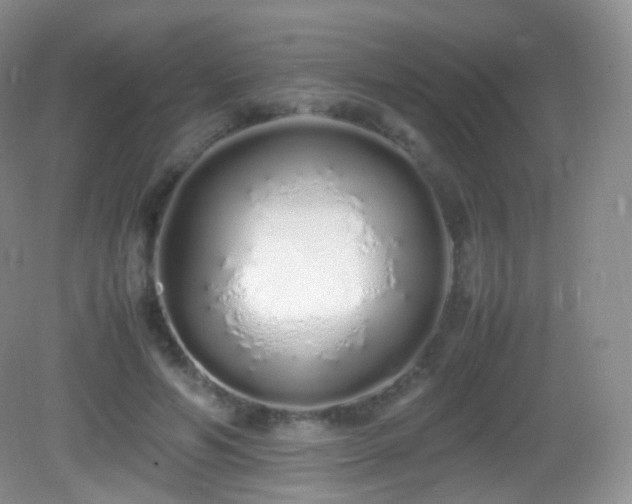 X0000083000594200702011457